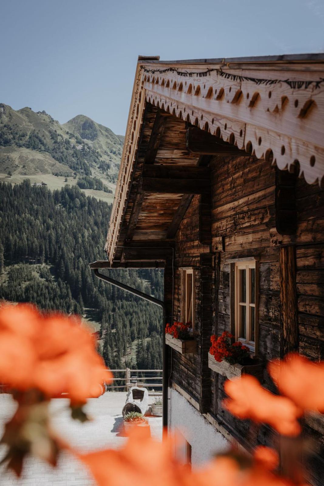 Peer Alm Hotel Navis Екстериор снимка
